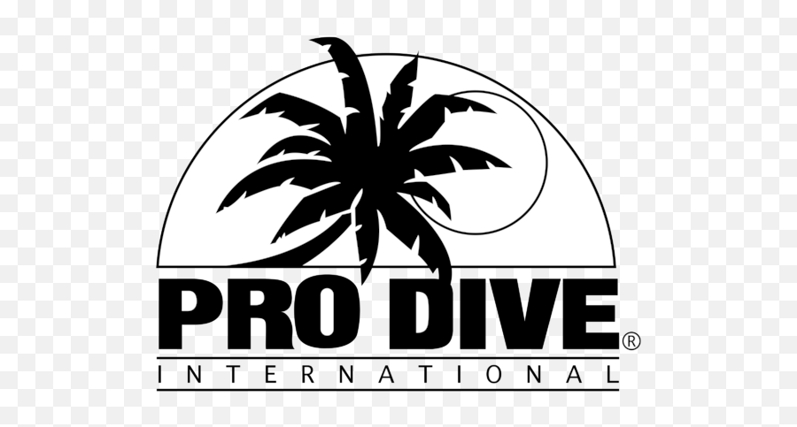 Pro Dive Logo Png Transparent U0026 Svg Vector - Freebie Supply Emoji,Dive Logo