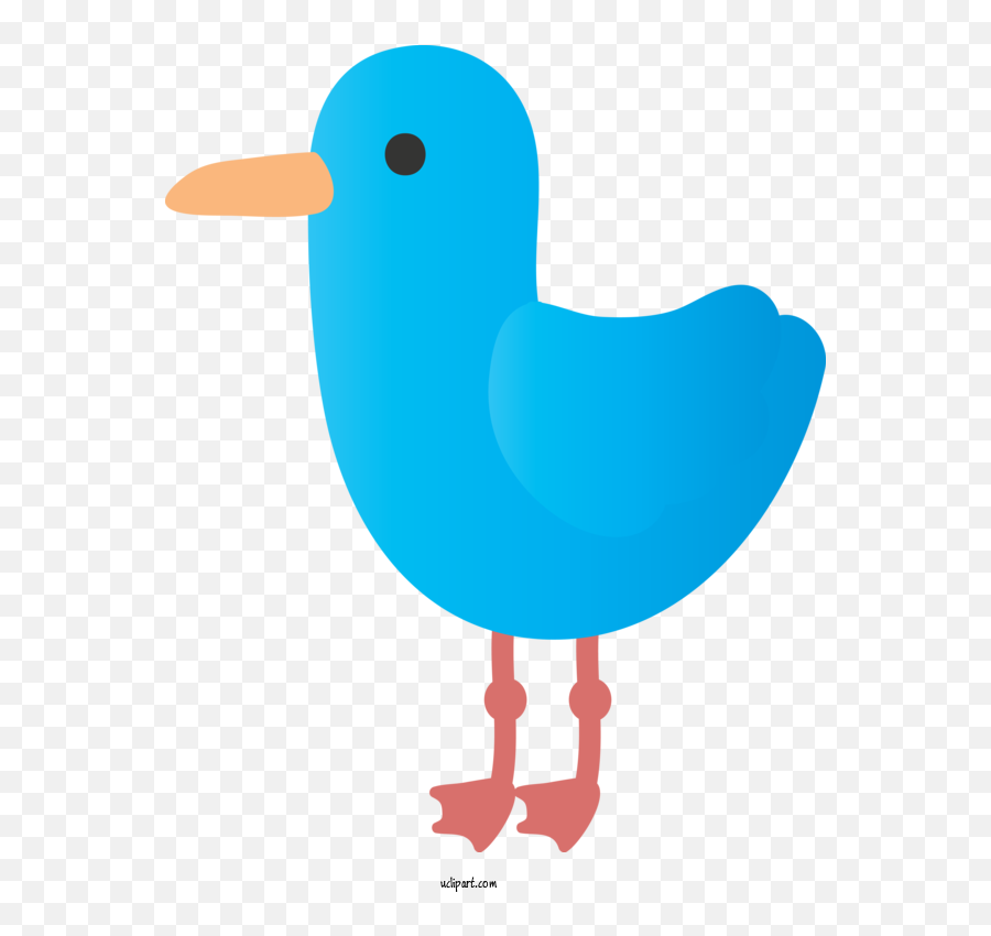 Animals Bird Beak Water Bird For Duck - Duck Clipart Animals Emoji,Water Clipart Transparent