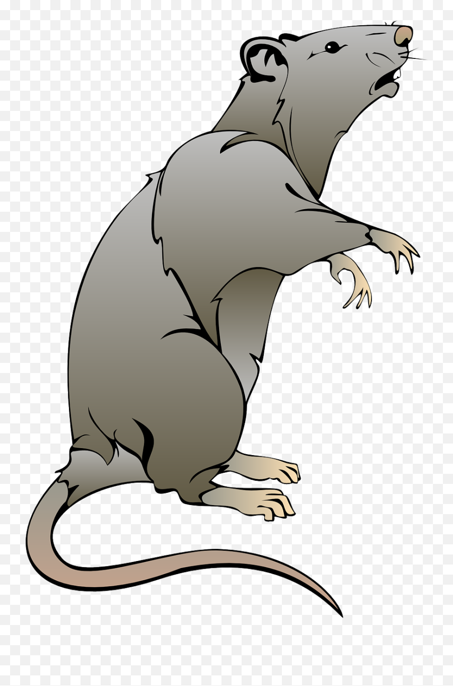 Rat Mouse Clip Art - Rat Clip Art Emoji,Rat Transparent Background