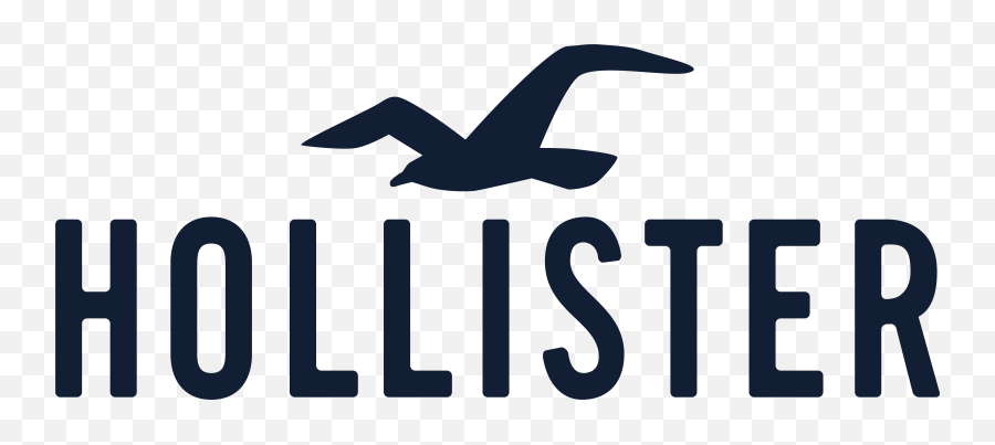 Hollister Donates To Organizations - Hollister Emoji,Cityyear Logo