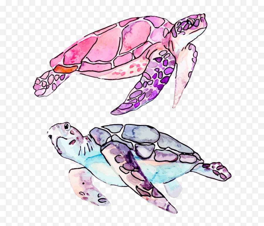 Turtle Clip Art Vector Graphics Royalty - Free Illustration Transparent Sea Turtle Vector Emoji,Sea Turtle Clipart