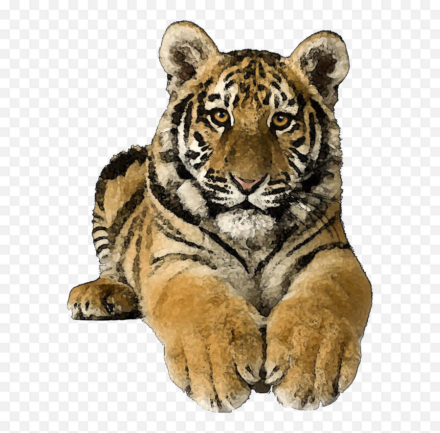 Tiger Clipart 10 - Transparent Tiger Clip Art Emoji,Tiger Clipart
