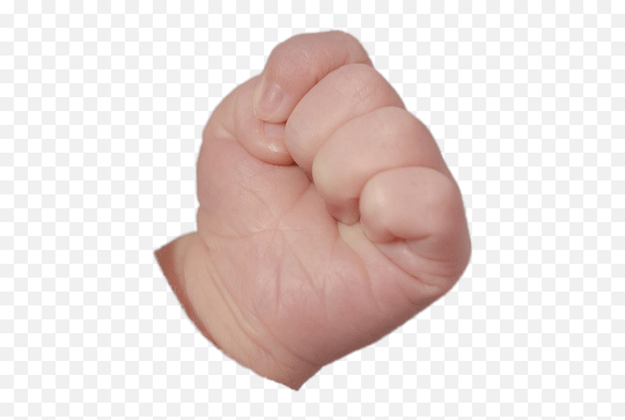 Clenched Baby Fist Transparent Png - Fists Transparent Emoji,Clear Png