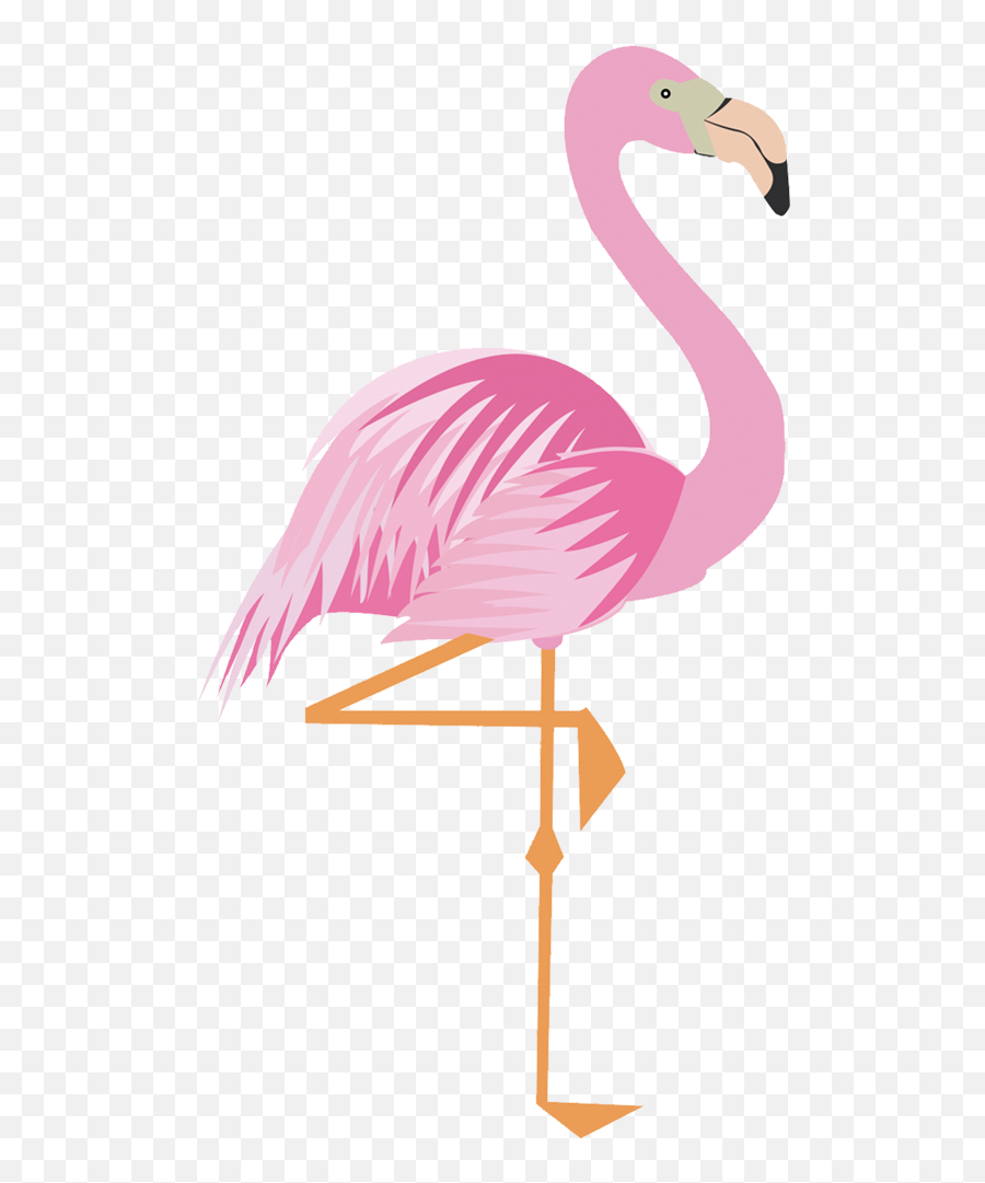 Greater Flamingo Drawing Cartoon - Flamingo Clipart Png Emoji,Flamingos Clipart