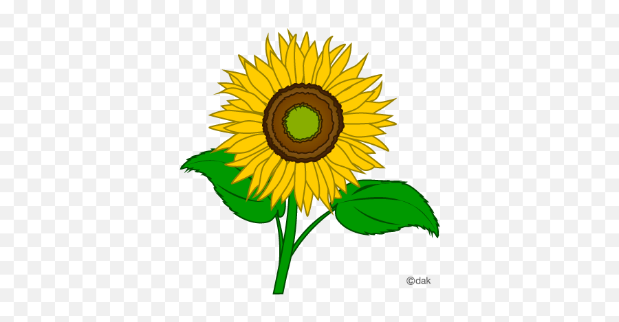 Sunflower Clip Art Clipart Free Clipart - Sunflower Color Clipart Emoji,Sunflower Clipart
