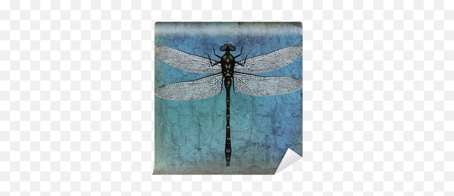 Dragonfly Grunge Background Wall Mural U2022 Pixers - We Live Emoji,Dragonfly Transparent Background