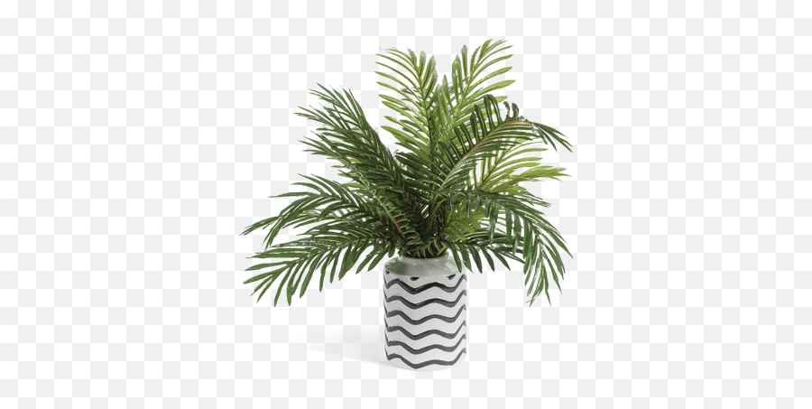 Phoenix Palm Abstract Vase Greenery Arra 1519004 - Png Tree In Vase Png Emoji,Greenery Png