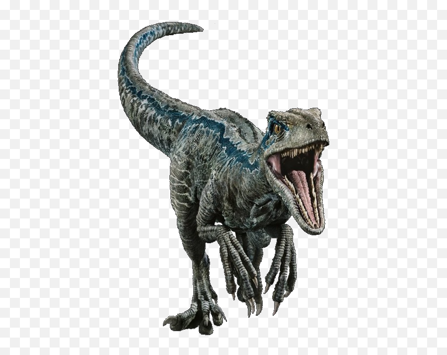 Blue The Velociraptor - Blue Do Jurassic World Emoji,Velociraptor Png