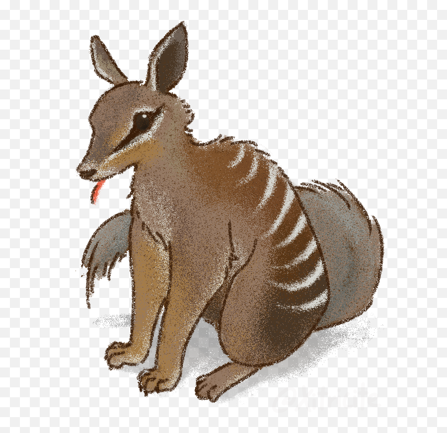 Aussieanimals Traola Twitterren Emoji,Australiana Clipart