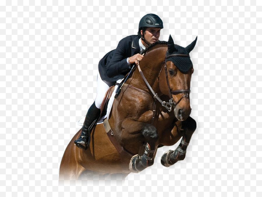 Horse And Rider - Pessoausacom Saddles Bridlework Horse Emoji,Saddle Png