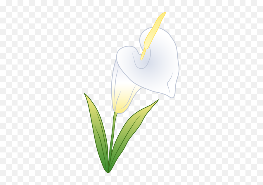 Orange Lily Flower Clipart Free Stock Photo Public Domain - White Anthurium Flower Clipart Emoji,Easter Lily Clipart