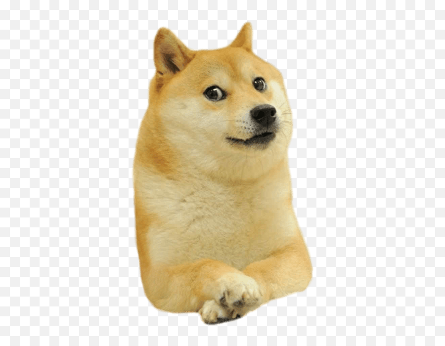 Meme Faces Doge Dog Funny Animal Memes - Doge Png Emoji,Memes Png