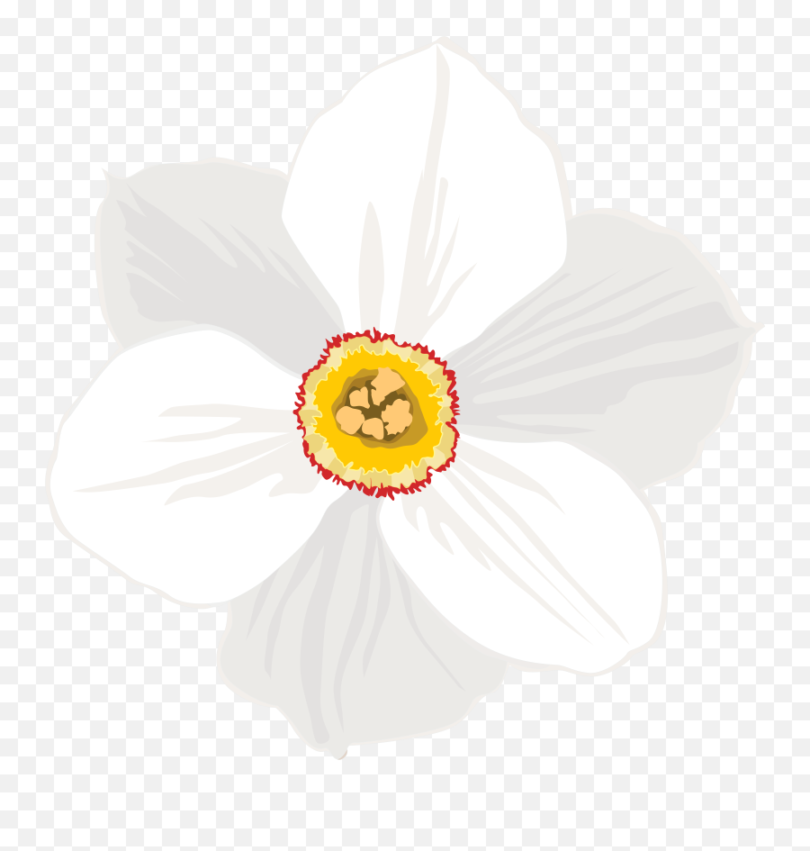 Download Hd Daffodil Clipart Emoji,Daffodil Clipart