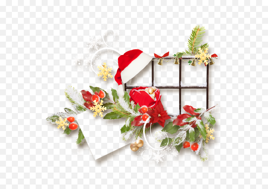 Christmas Holly Plant Flower For - Floral Emoji,Holly Border Png