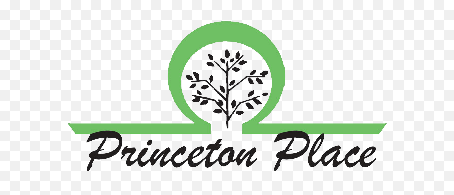 Princeton Place U2013 Paramount Healthcare Consultants - Language Emoji,Paramount Pictures Logo