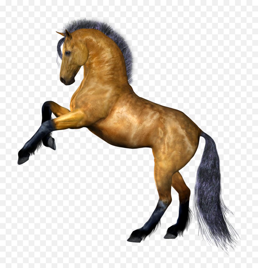 Horse Clipart Png - Horse Png Emoji,Horse Clipart