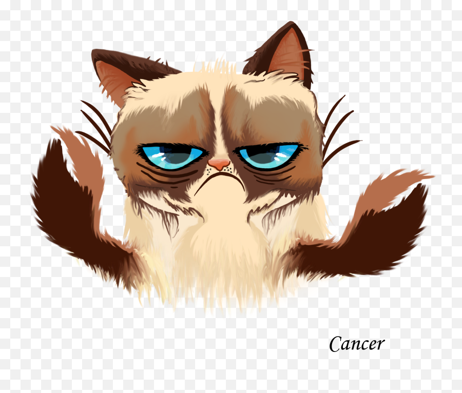 Grumpy Cat Kitten Cats And The Internet Emoji,Grumpy Cat Clipart