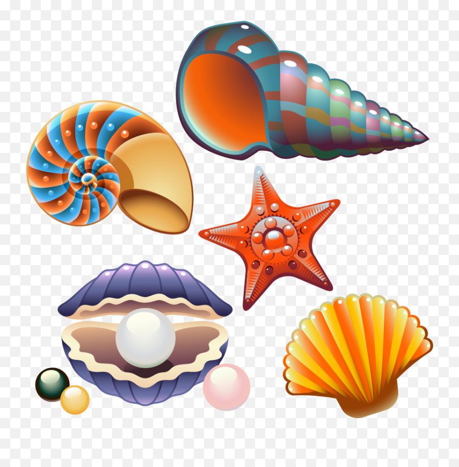 Shell Clipart Shellfish Picture 2028639 Shell Clipart - Vector Seashells Emoji,Shell Clipart