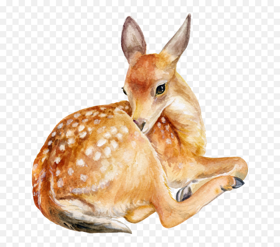 Deer Png Image - Deer Png Emoji,Deer Png