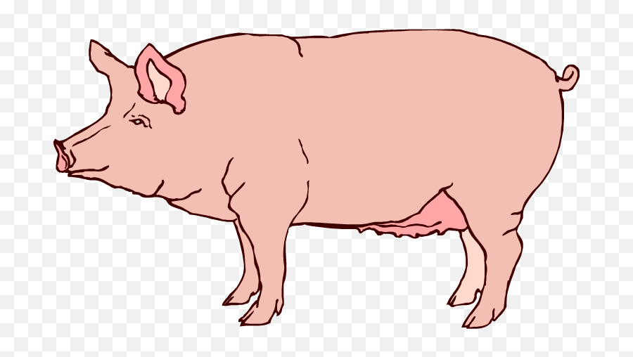 Pig Clipart Fetal Pig Picture 1891268 Pig Clipart Fetal Pig - Realistic Clip Art Pig Emoji,Pig Clipart