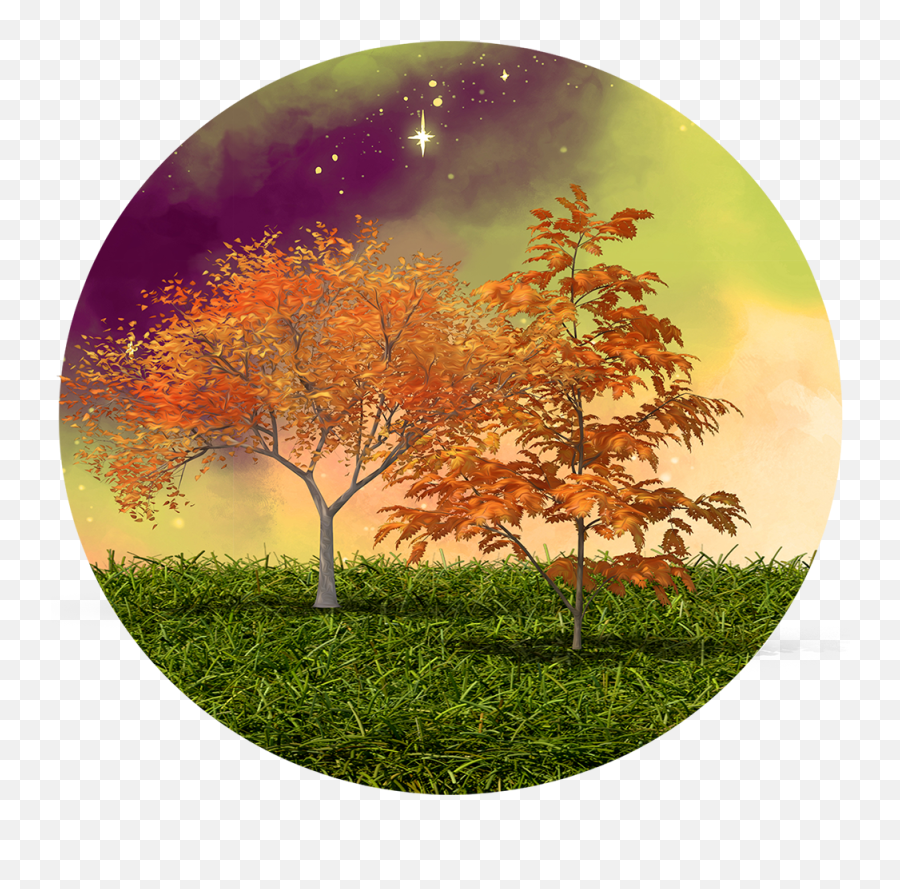 Fall Tree Clipart Png - Scenery Png Emoji,Fall Tree Clipart