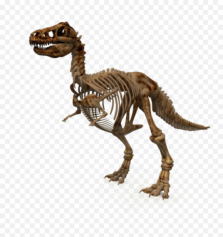 Free Png Download Dinosaur Png Images Background Png - Dinosaur Skeleton Transparent Emoji,Skeleton Transparent