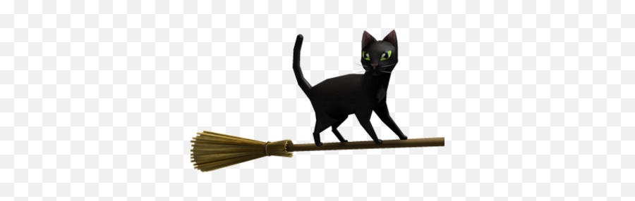 Catalogmagic Broom Black Cat Roblox Wikia Fandom - Broom Emoji,Black Cat Png