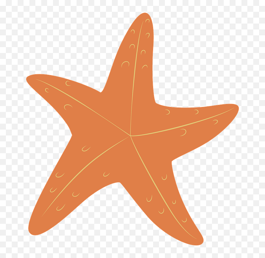 Starfish Clipart Free Download Transparent Png Creazilla - Orange Starfish Clipart Png Emoji,Starfish Clipart