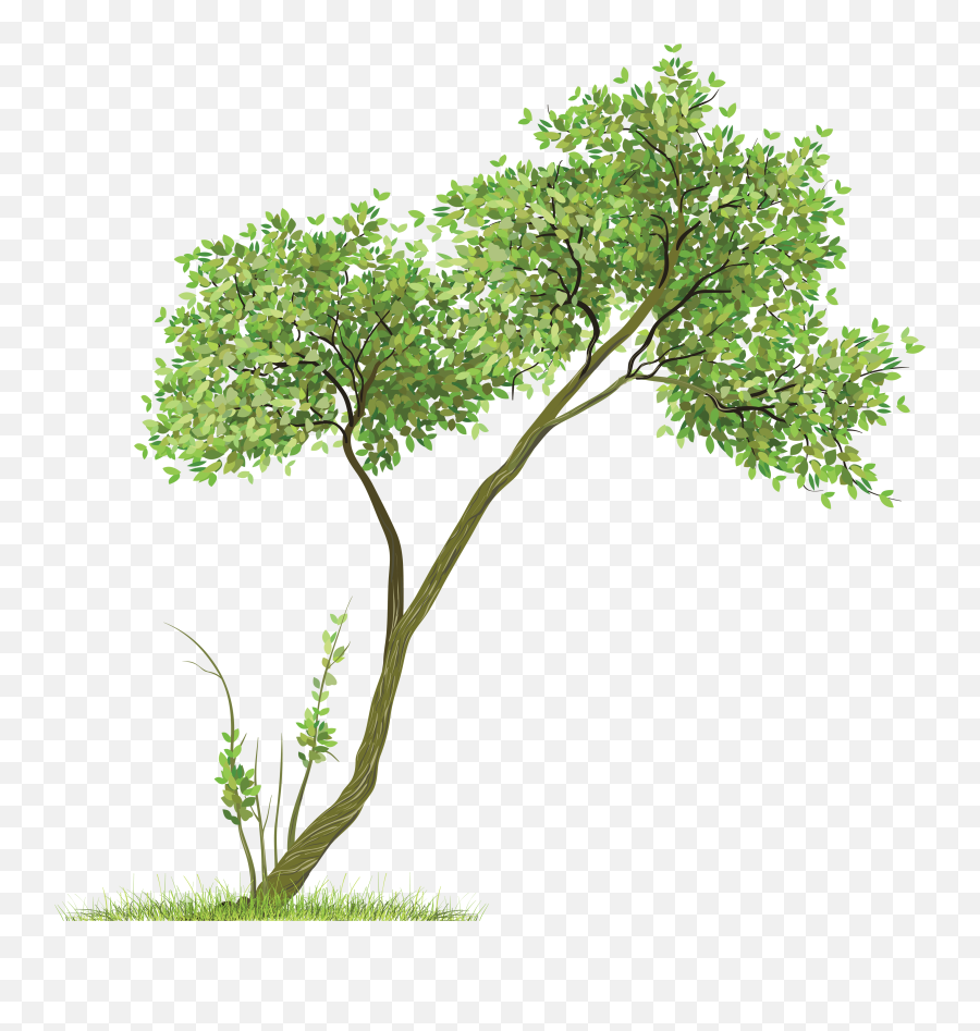 Tree Png Image - Transparent Background Tree Png File Emoji,Tree Png