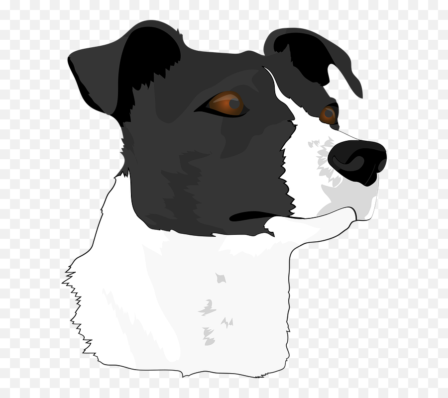 Dog Headdogterrieranimal Portraitpet - Free Image From Emoji,Terrier Clipart