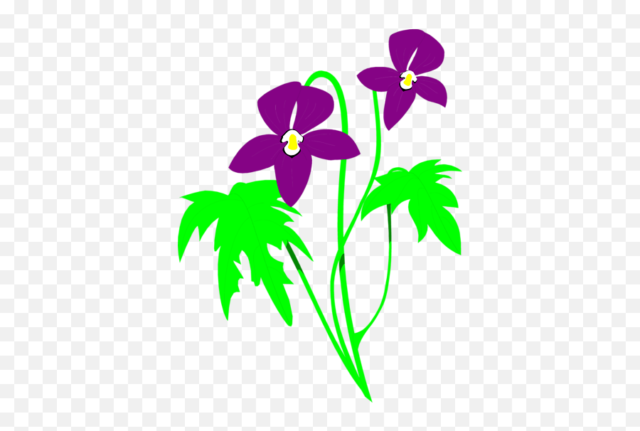 Flowerspng Clipart Panda - Free Clipart Images Emoji,Purple Flower Png
