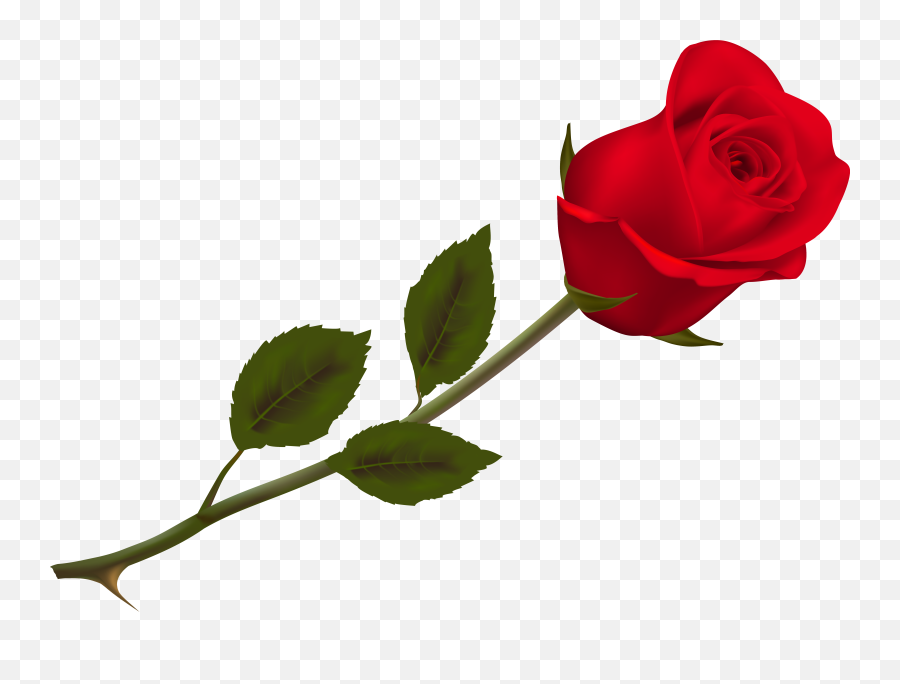 Rose Clipart Transparent Background - Transparent Background Red Rose Png Emoji,Rose Transparent Background