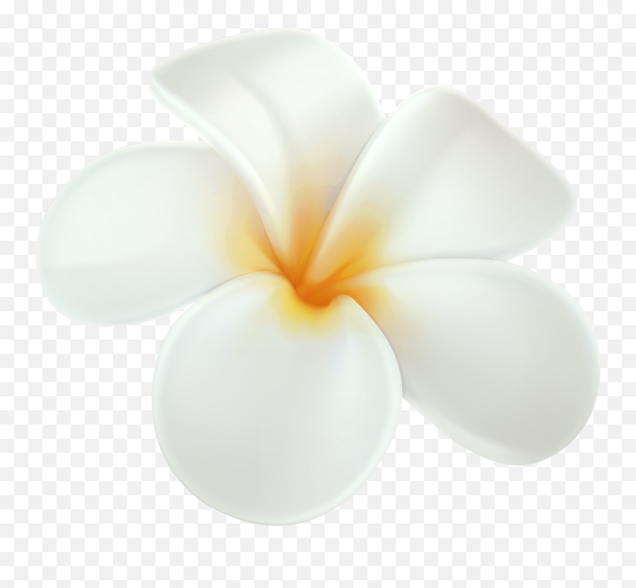 Plumeria Png Clip Art - White Hawaiian Flowers Png Full Plumeria Png Emoji,White Flower Png