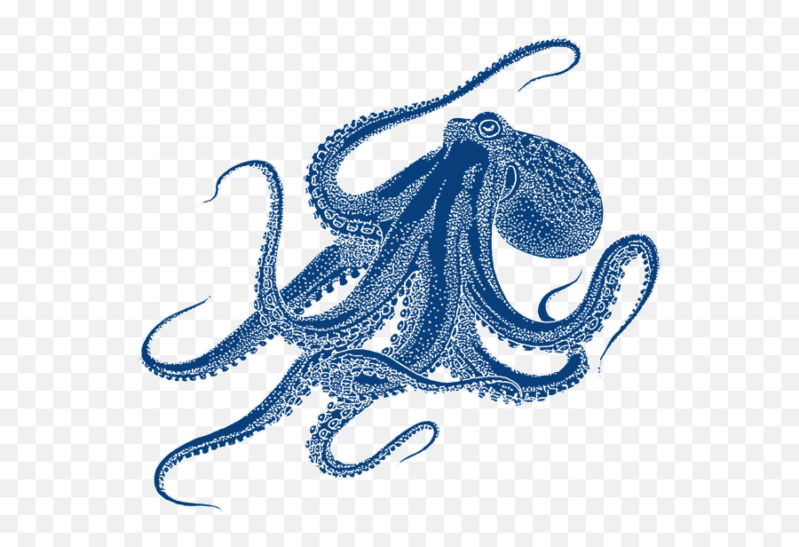 Squid Clipart Sotong Squid Sotong Transparent Free For - Old Scientific Octopus Drawings Emoji,Squid Clipart