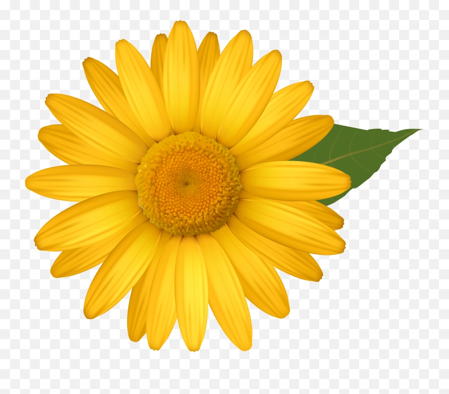 Daisy Flower Png Files - Yellow Daisy Clipart Free Emoji,Daisy Clipart