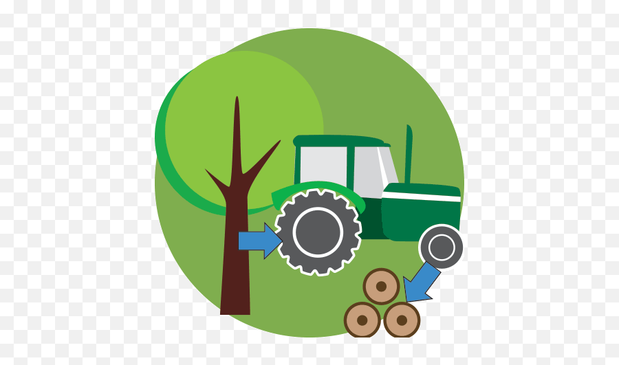 5 Caramel Bamboo Strand Emoji,Green Tractor Clipart