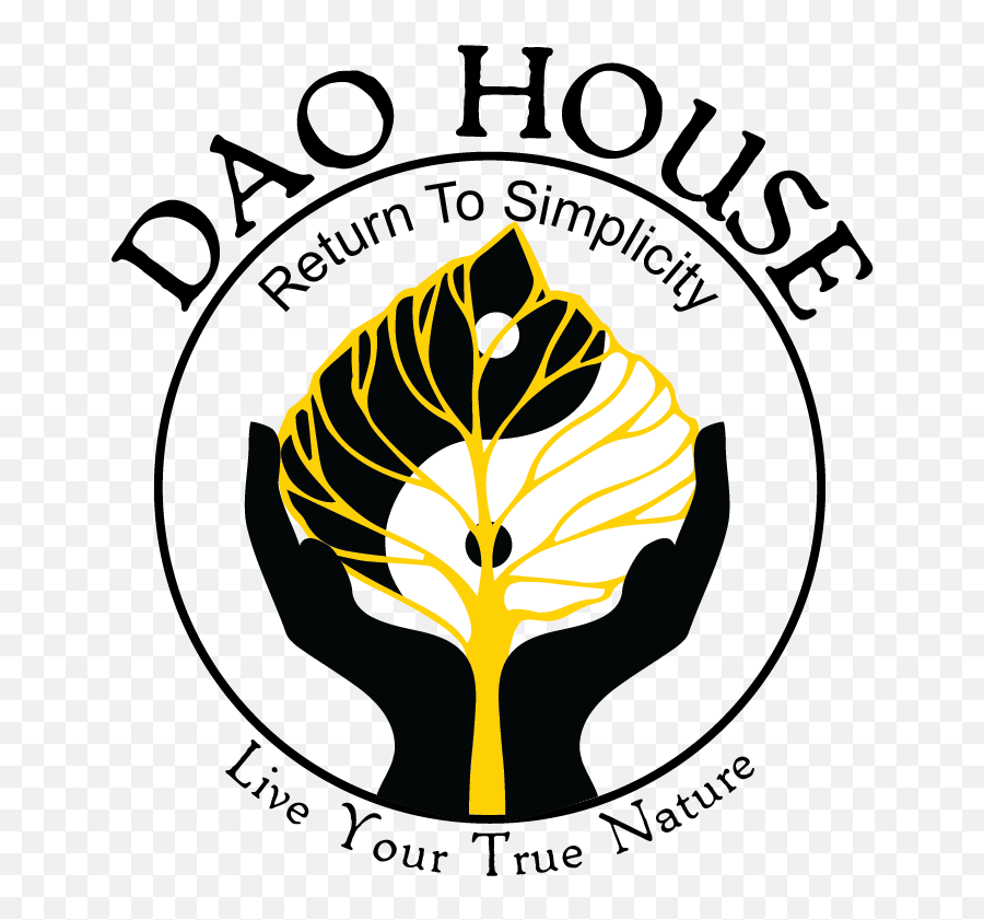 Serious Professional Google Logo Design For Dao House And Emoji,Google Logo Artist
