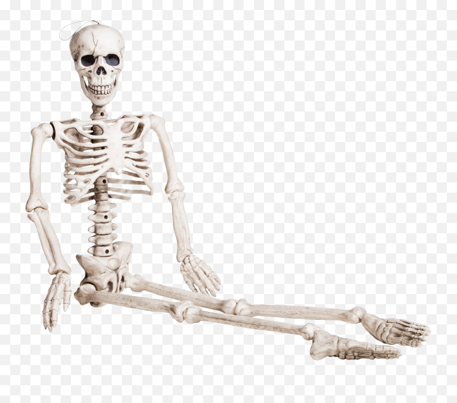 Download Hd Skeleton Transparent Png Transparent Png Image - Sitting Skeleton Png Emoji,Skeleton Transparent