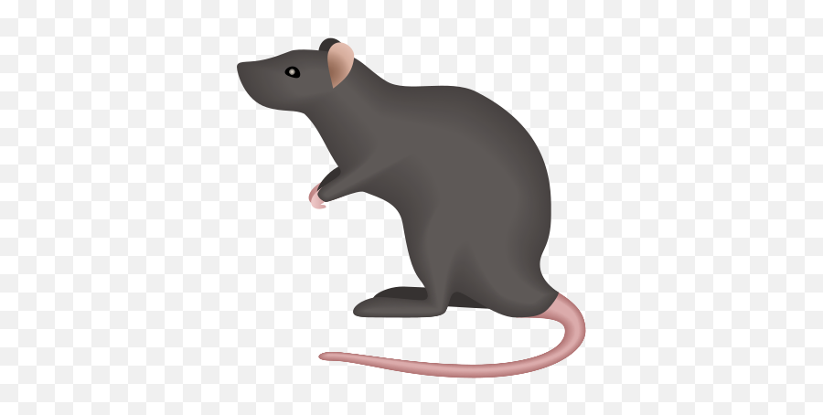 Rat Icon - Rat Icon Emoji,Rat Transparent Background