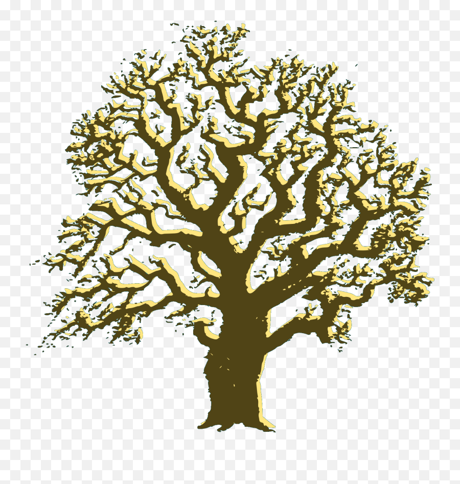 Brown Oak Tree Svg Vector Brown Oak Tree Clip Art - Nature Png Logo Black Emoji,Oaktree Clipart