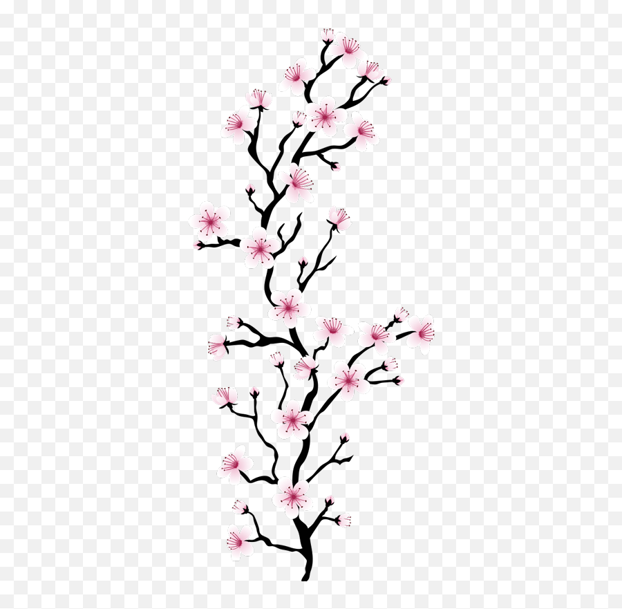 Japanese Cherry Blossom Flower Wall Decal Emoji,Cherry Blossom Flower Png