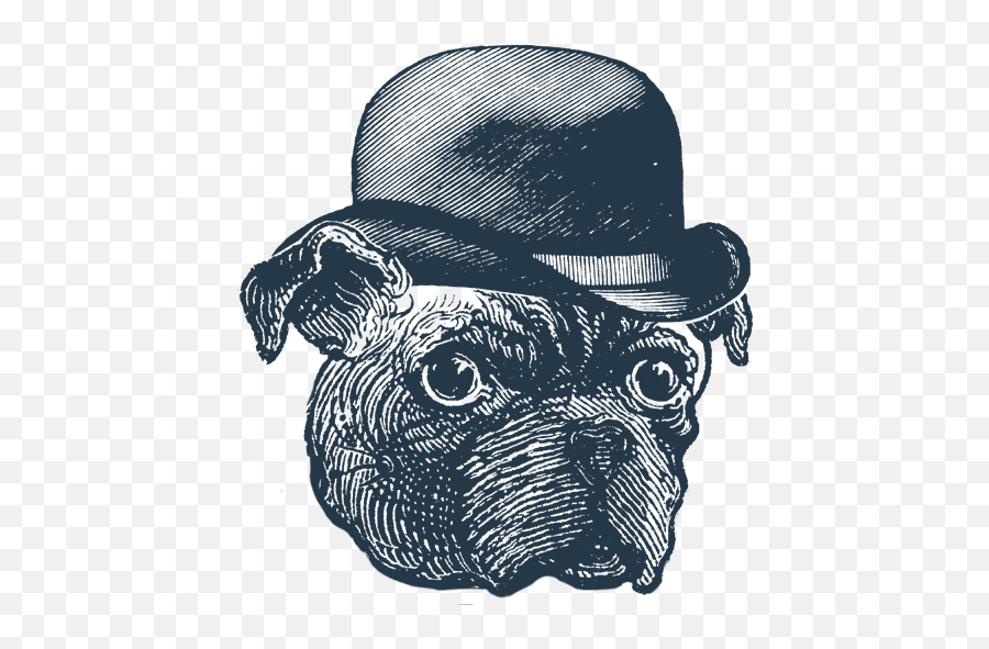 Gallery - Pug Uglys Bar Belfast Emoji,Doge Head Png