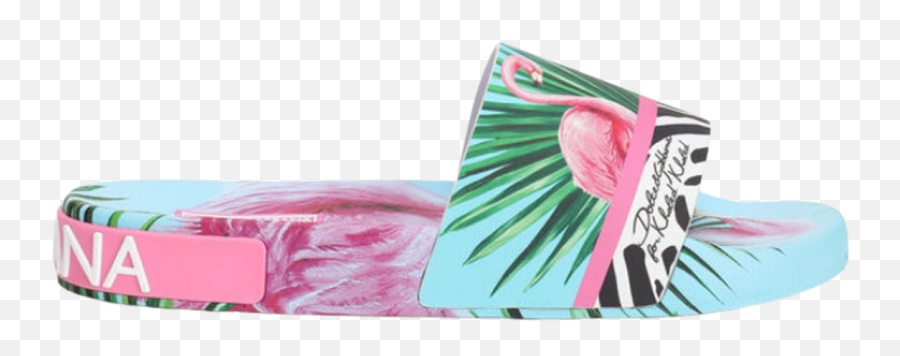 Du0026g Dj Khaled Rubber Beachwear Sliders Flamingo Print Emoji,Dj Khaled Png
