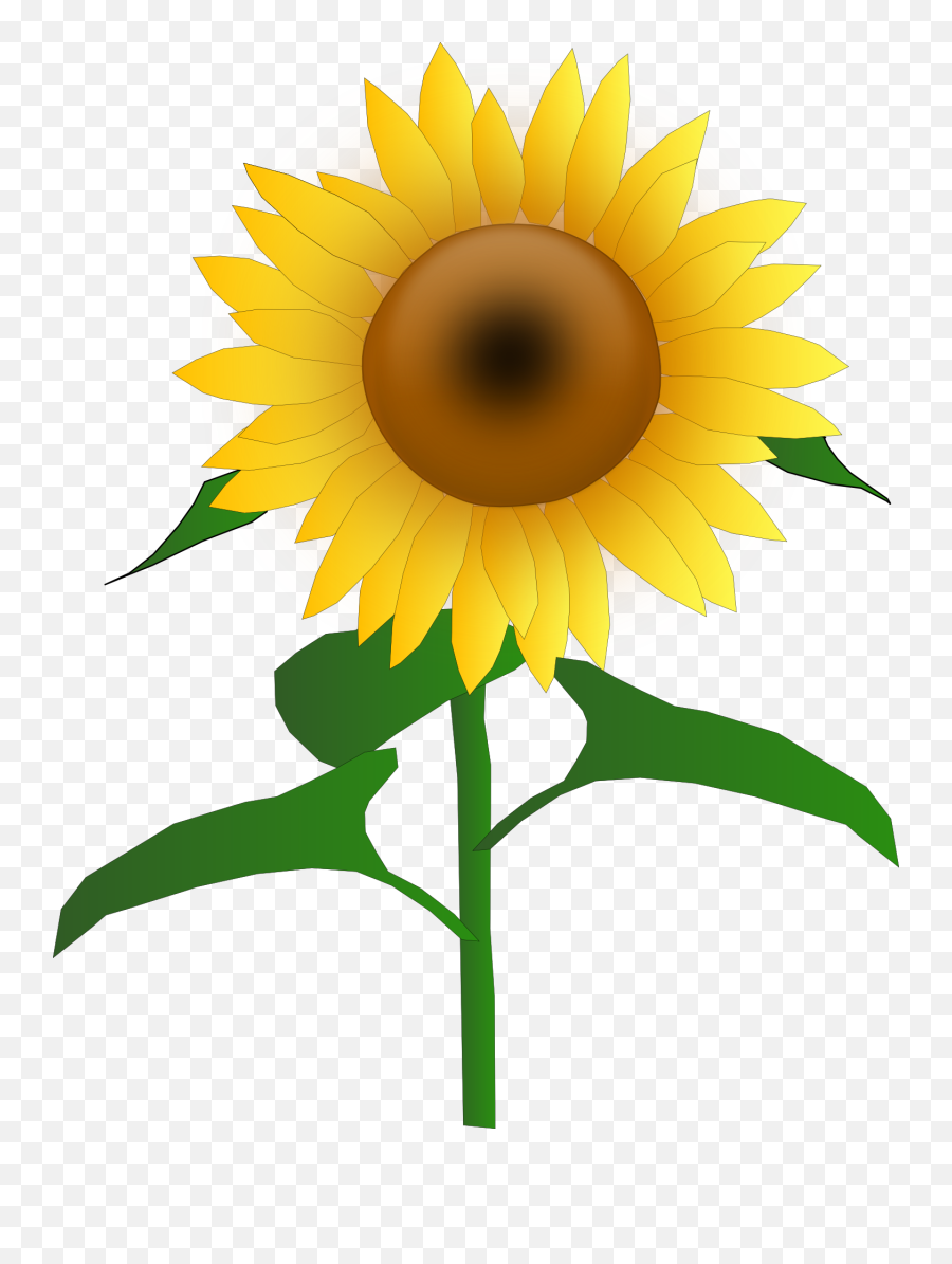 Library Of Flowers And Sun Image Png Files Clipart - Sunflower Clipart Emoji,Sun Clipart