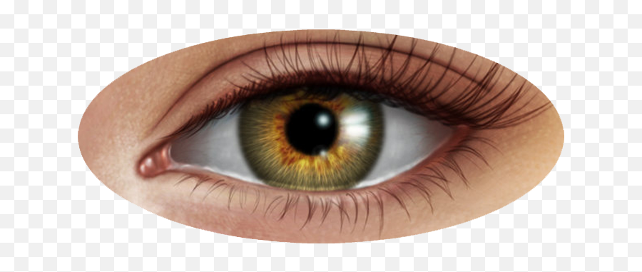 Human Eye Png Image - Eye Image Png Emoji,Eye Png