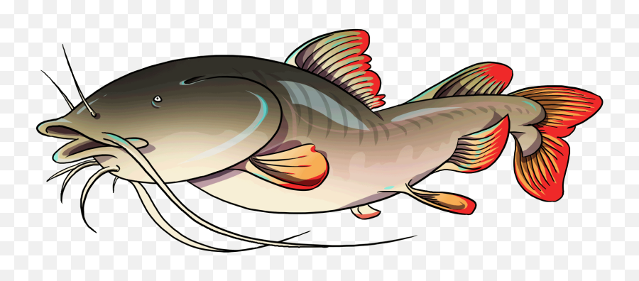 Asian - Gafftopsail Catfish Emoji,Catfish Clipart