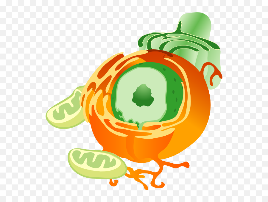Cells Clipart Transparent - Animal Cell Png Vector Emoji,Cell Clipart