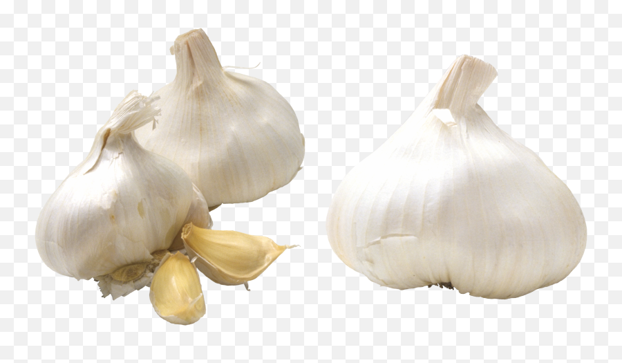 Garlic Png Alpha Channel Clipart Images - Hi Resolution Garlic Emoji,Garlic Png