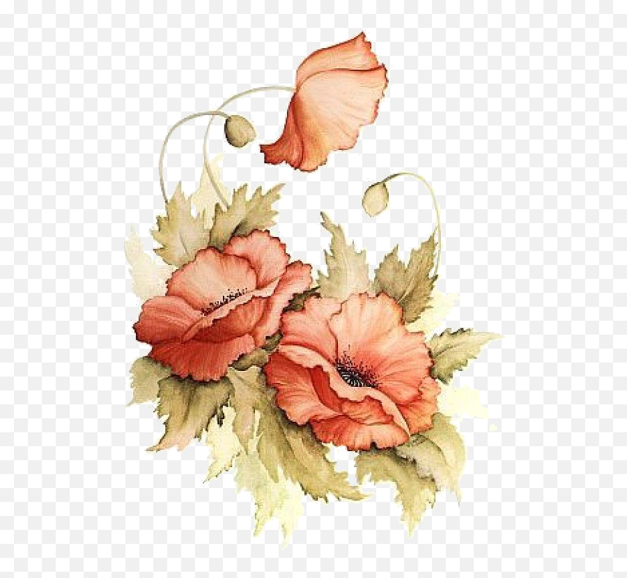 Download Hd Poppies - Painted Flowers Png Transparent Png Emoji,Painted Flowers Png