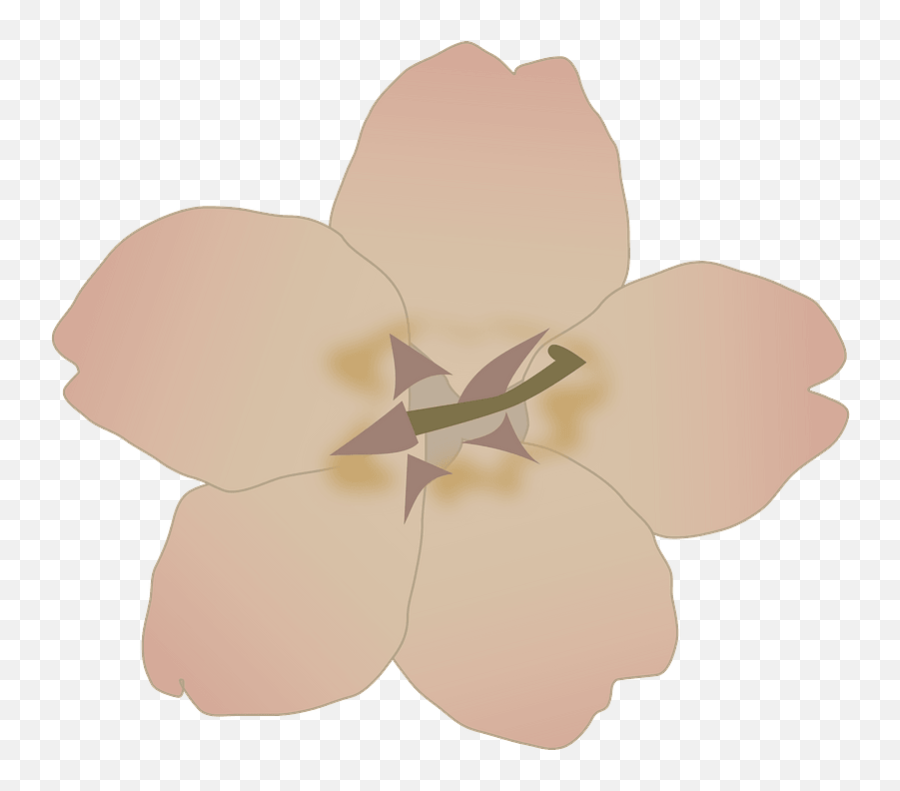 Sakura Blossom - Cherry Blossom Clipart Free Download Emoji,Cherry Blossom Flower Png